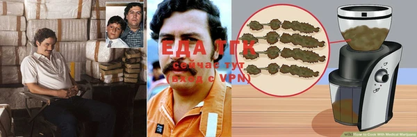 сатива Вяземский