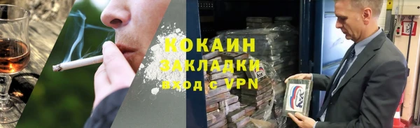 сатива Вяземский