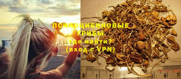 сатива Вяземский