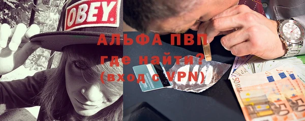 сатива Вяземский