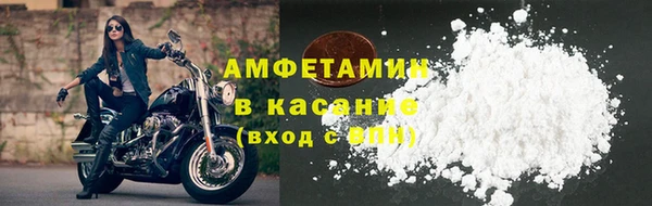 сатива Вяземский